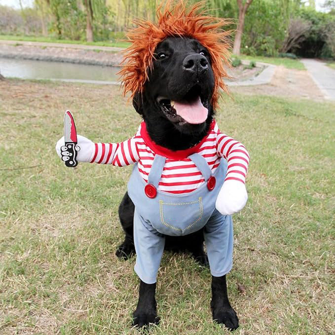 Déguisement pour chien