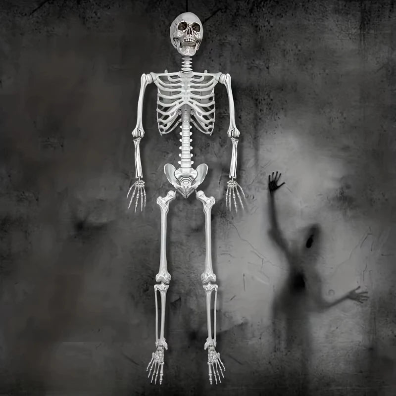 Squelette Halloween Grandeur Nature