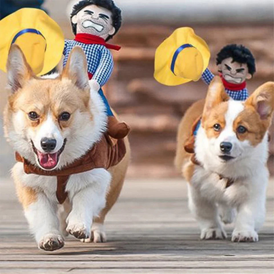 Déguisement Cowboy Halloween pour chiens et chats