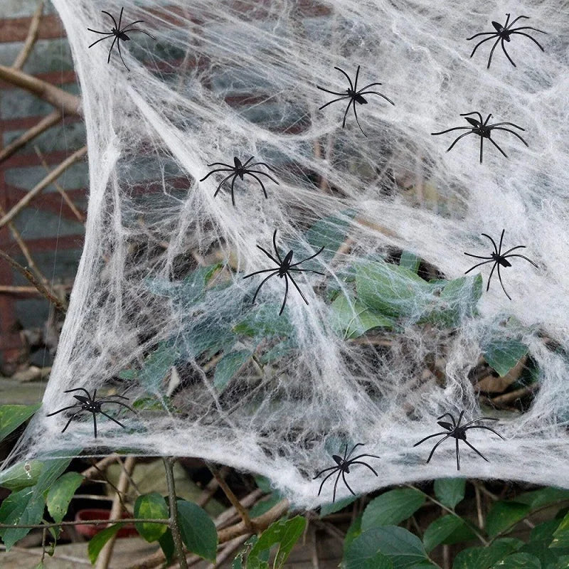 Halloween Toile d’Araignée Décoration