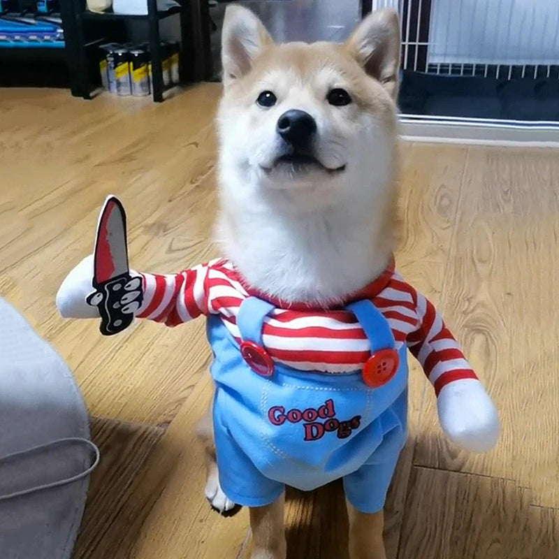 Déguisement Chucky Halloween pour chiens et chats