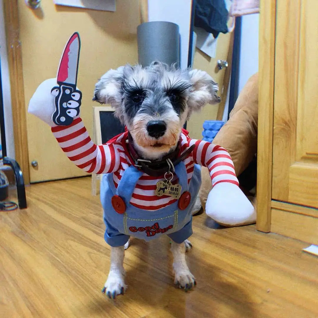 Déguisement Chucky Halloween pour chiens et chats