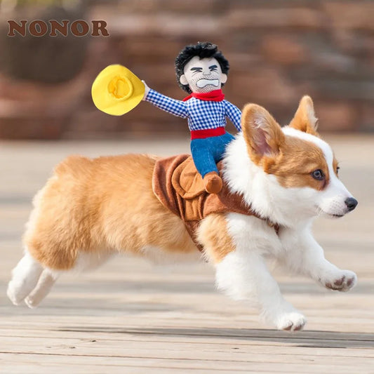 Déguisement Cowboy Halloween pour chiens et chats