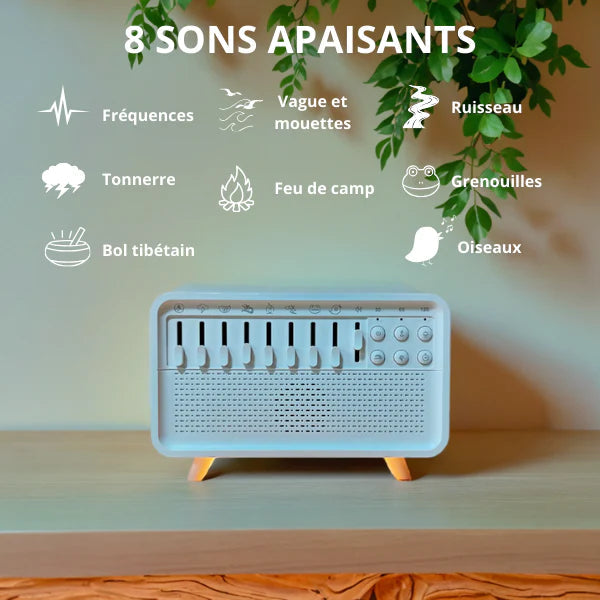 Lunéora – Diffuseur Naturel